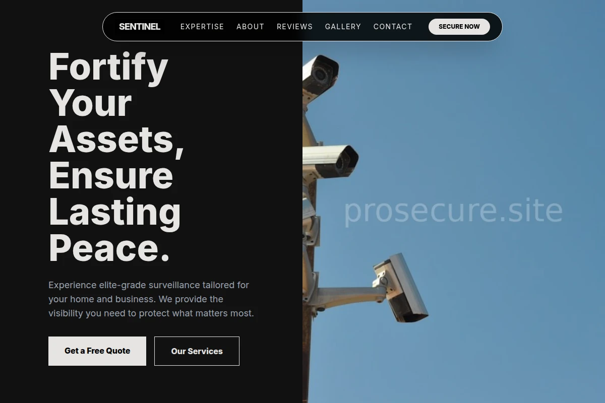 Guardian Surveillance